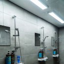 크로스핏 스프링캠프 이미지