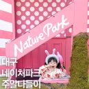 씨네이처 | 대구 36개월 네살 아이랑 갈만한곳 네이처파크 내돈내산 후기 동물원 먹이체험 유모차 필수