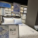 퓨어 하우스 | 모던하우스 냉감이불 후기, 퓨어코튼아이스