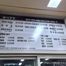 돼지깡장