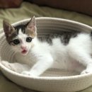 오룡축산 | 내가 보려고 올리는 울산 환갑, 돌잔치, 상견례 음식점(식당) 리스트