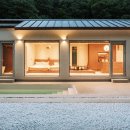 시기공추 이미지