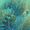 호텔 바다 이미지