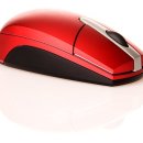 시니어요가(2) 이미지