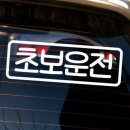 1009 이미지