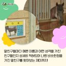실바람공원 이미지