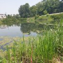 서진레포츠 이미지