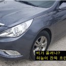 범퍼 이미지