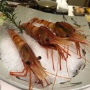 고래와참치 이미지