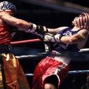 정일복싱 이미지