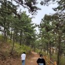 콩돌해안 공중화장실 이미지