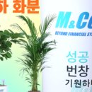 아이맘온누리약국 이미지