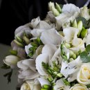 E-비소-광양-11호 | 주식일지