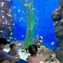 고래생태체험관 화장실 이미지