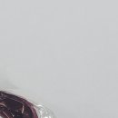 류마참내과의원 이미지