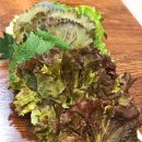 시골쌈밥 이미지