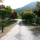 초록건강 - 용산구 | 초록건강