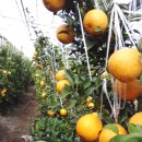 신안센터-16 이미지