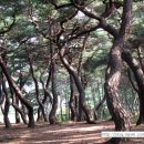 영천댐 자전거도로 네이버블로그