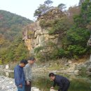 심만용 Daum카페