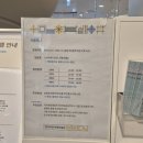 창의력 미술놀이 | 4세 6세 유아 실내 미술체험 추천 | 창의력 놀이에 좋은 현대어린이책미술관 후기