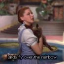 Judy Garland - Over the Rainbow 이미지