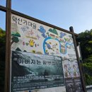 덕산기에서 | 정선, 오지 중에 오지 덕산기계곡 트레킹 후기 그리고 숲속책방