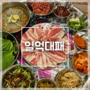 [청주/사창동] 가성비 대패삼겹살 | 충북대 중문 맛집 | 일억대패