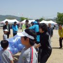 천포초등학교 이미지