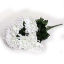 여행사진작가 이미지