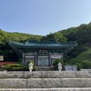 신흥사 구 대웅전 단청반자 이미지