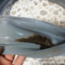 로하스크린 이미지