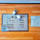 동강참치 | 신촌역 맛집 동강참치 점심 초밥 한 상