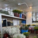 안개4길 | W . 남대문 꽃시장 (에덴화원) 부케 만들기 ㅣ 풍년꽃집 웨딩 촬영 부케