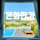 온화한가(온송) 네이버블로그