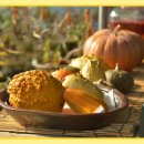 동트는농원 이미지