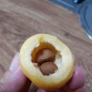 로즈애플 이미지