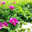 삼익대중목욕탕 이미지