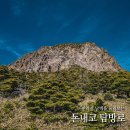 돈내코 평궤 화장실 | 한라산 등산 돈내코 탐방로 5월 후기