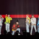 탠저린드림 이미지