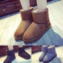 도보소프트 이미지