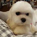 은비유치원 이미지