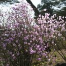 야곱목장 이미지