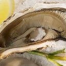 (주)신정 이미지