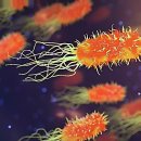 안양여고사거리_서 | 뻐근한 내 몸을 구원할 곳 찾았다!