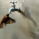 밥사랑술사랑 이미지