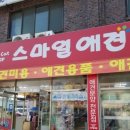 스마일애견미용 이미지