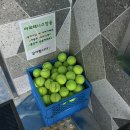 그린스포츠센터 이미지