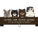 하이통키