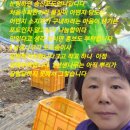 육일농원 이미지